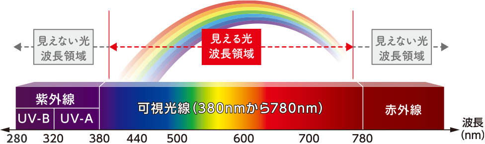 見える光 波長領域 可視光線（380nmから780nm） 見えない光 波長領域 紫外線 UV-B UV-A 赤外線