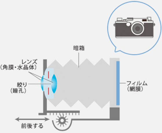 図解：カメラの断⾯図