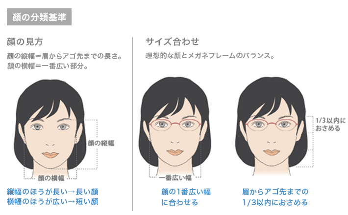 女性向け：顔の分類基準