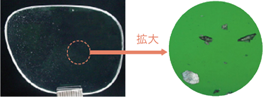 拡大写真