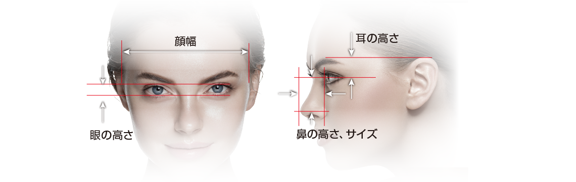 顔幅・眼の高さ・耳の高さ・鼻の高さ、サイズ