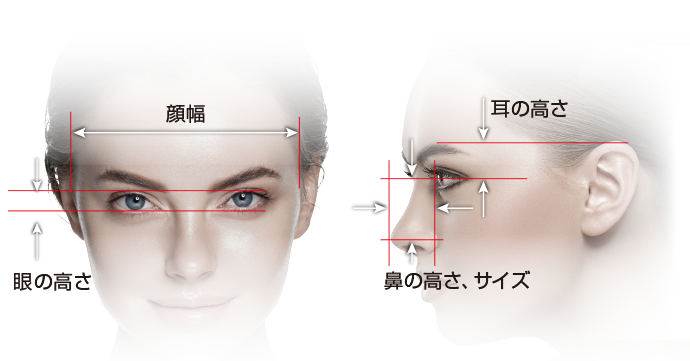 顔幅・眼の高さ・耳の高さ・鼻の高さ、サイズ