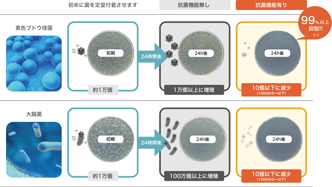 抗菌機能が有るレンズと無いレンズの比較