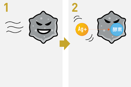 抗菌機能により菌が減少していく過程