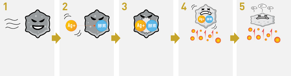 抗菌機能により菌が減少していく過程