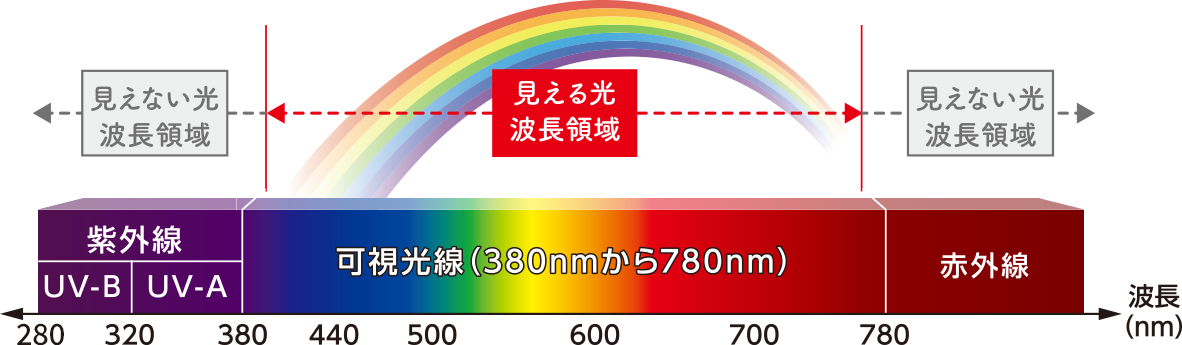見える光 波長領域 可視光線（380nmから780nm） 見えない光 波長領域 紫外線 UV-B UV-A 赤外線