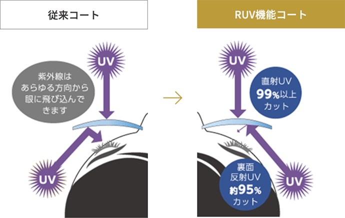 従来コート RUV機能コート