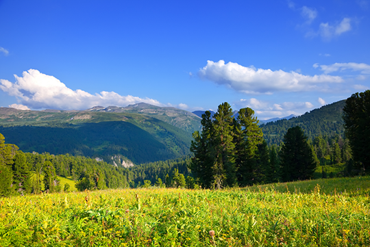 遠近両用タイプ 見え方イメージ