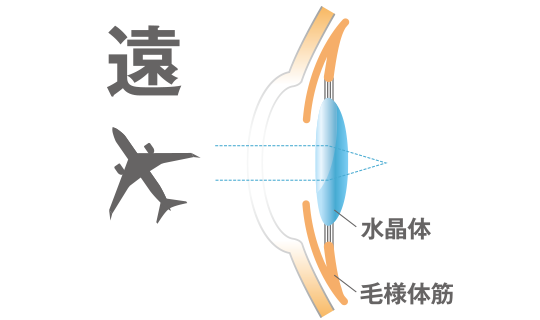 遠くをみるとき