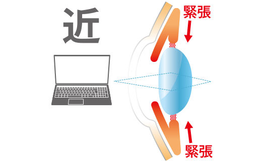 近くをみるとき