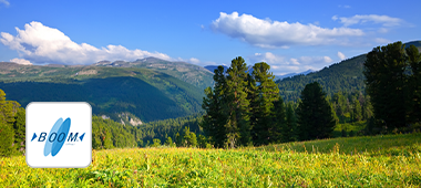 HOYALUX Vivina Field